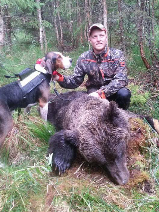 Bengt Nordström med sin duktiga björnhund, finnstövaren Eilert. Foto: Privat