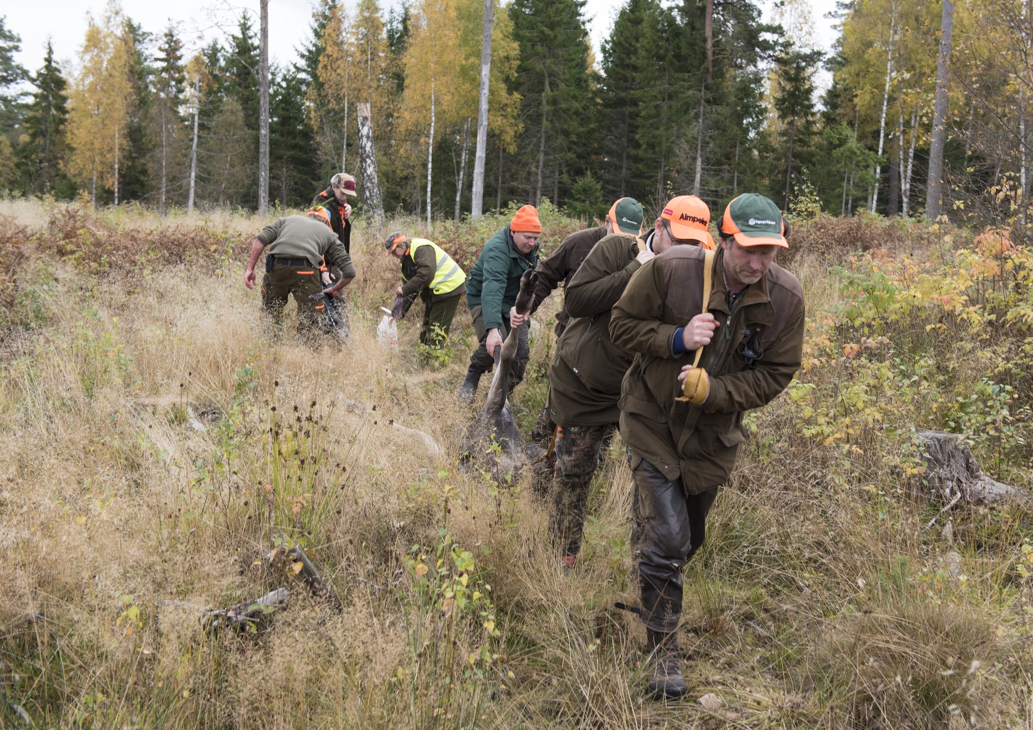 Jägare och markägare måste samarbeta för att lyckas med viltförvaltningen, anser debattören. Foto: Jan Henricson