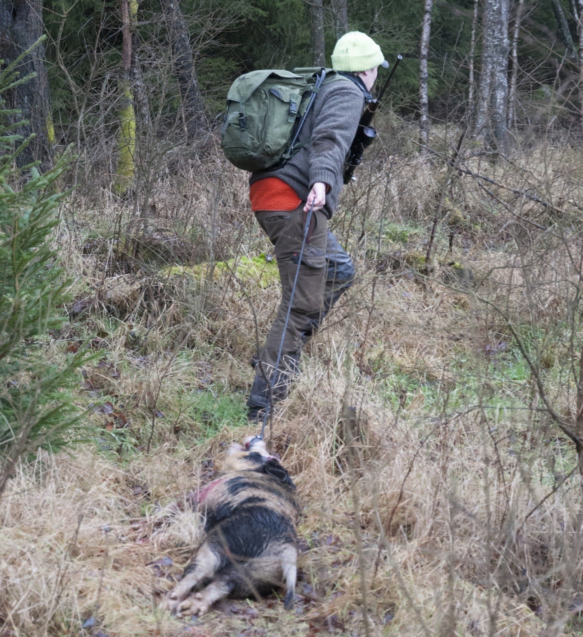 Jakt är inte bara nöje. Jägaren gör mycket nytta också. Det är hög tid att jägarna tar betalt för sina tjänster, anser debattören. Foto: Jan Henricson