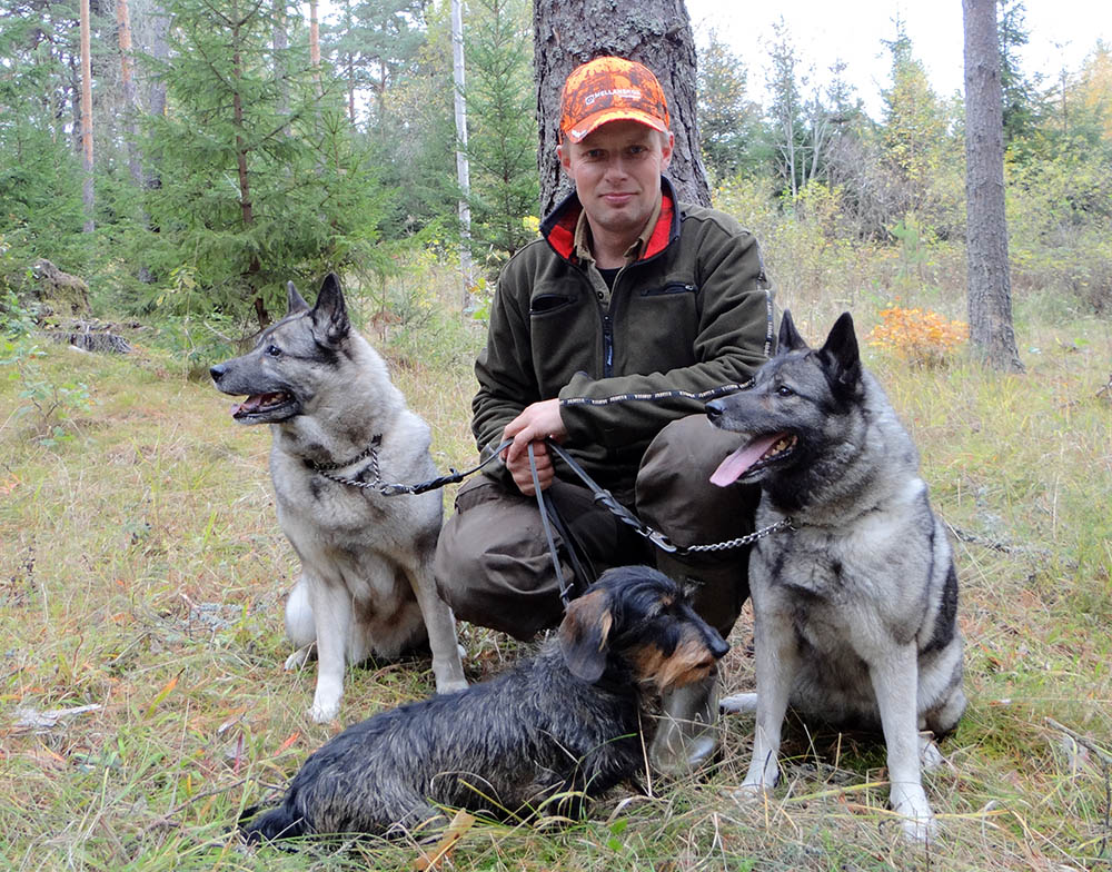 – Vi vill visa hur olika raser används och att nya jägare väljer renrasiga hundar, säger Björn Eek på SKK. Foto: Stephan Ackerstierna