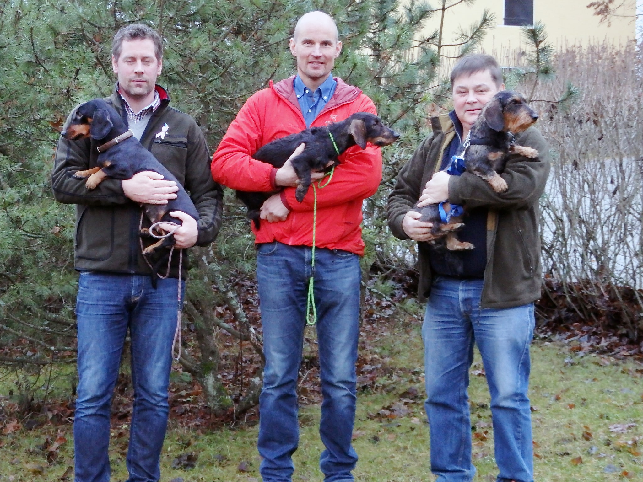 Det svenska laget. Från vänster Johan Axelsson med Smen's Rut, Carl Söderberg med Mariebergs Vilda och Klas Johansson med Hissmovallens Diana. Foto: Anders Öberg