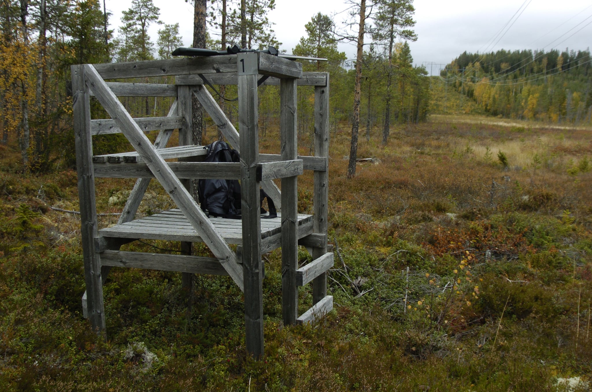 Tomt och trist på passet. Beror den låga avskjutningen på att det inga älgar finns, eller sysslar jägarna med något annat, frågar debattören. Foto: Jan Henricson