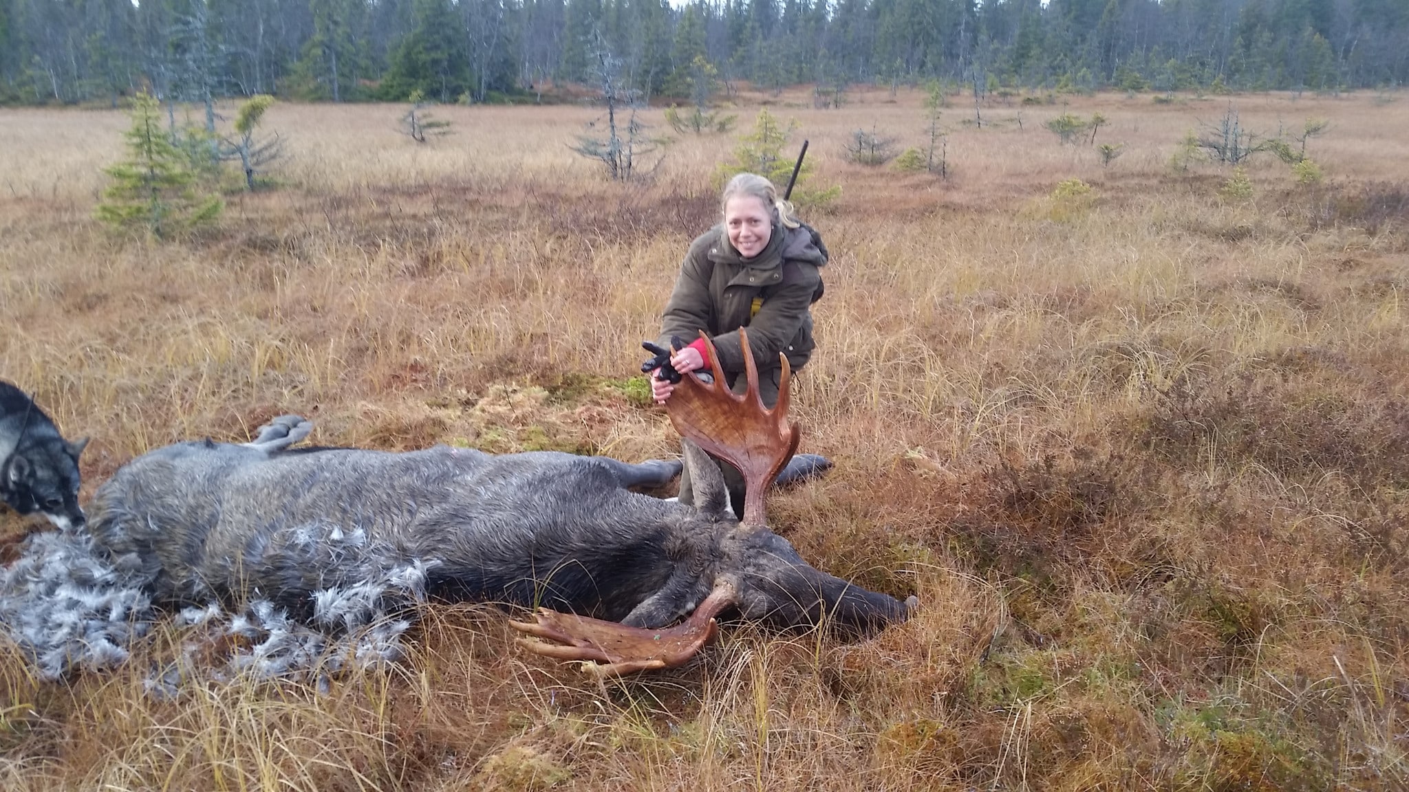 Emma Snell, 26 år, fällde sin första älg under höstens jakt. Foto: Privat