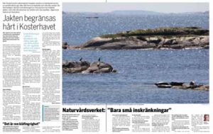 Svensk Jakt har bevakt hur Kosterhavets nationalpark har påverkat jakten i området.