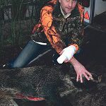 Jan Mathson blev anfallen och rejält tilltufsad av ett skadskjutet vildsvin. Foto: Mickan Thor