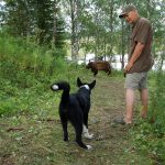 På Fäviken Game Fair fanns bland annat möjligheten att anlagspröva hund på linbjörn. Foto: Christel Johansson