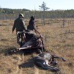 Många älgjägare i Östergötland överklagade länsstyrelsens beslut, och får nu rätt av Naturvårdsverket.