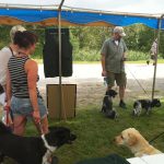 Många hundintresserade samlades den gångna helgen på Väla jaktvårdsgård i Västra Götaland. Foto: Hanna Ståhl