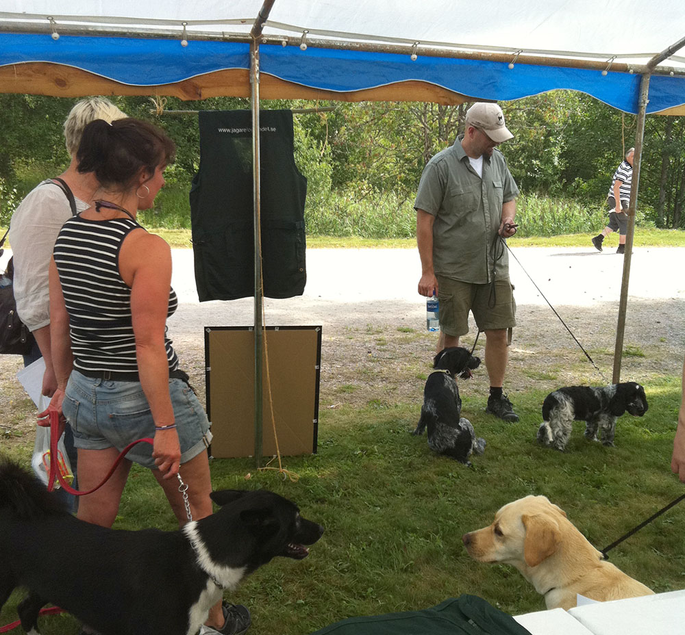Många hundintresserade samlades den gångna helgen på Väla jaktvårdsgård i Västra Götaland. Foto: Hanna Ståhl