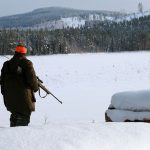 Jägarna bör kräva ersättning för att skyddsjaga varg, anser insändarskribenten. Foto: Olle Olsson
