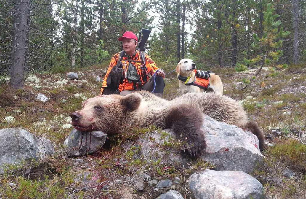 Anders Lindkvist, initiativtagare till björnhundspoolen i södra Norrland, fällde själv den första björnen som man fick tips om. Foto: Privat